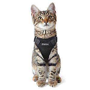 best harness for large cats