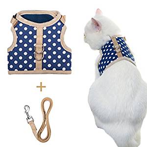 padded cat harness