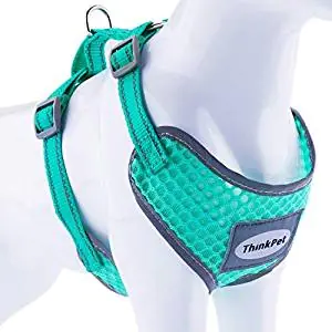 Downtown Pet Supply Cat Vest Harness and Leash Combo Downtown Pet Supply Cat Vest Harness and Leash Combo