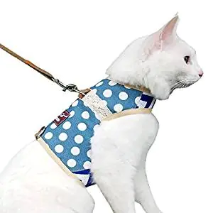 Gauterf Dog and Cat Universal Harness with Leash Set Gauterf Dog and Cat Universal Harness with Leash Set