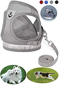 Kitty Holster Cat Harness Kitty Holster Cat Harness