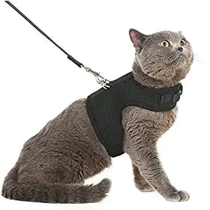 Adjustable Soft Mesh Comfort Fit for Pet or Puppy Dog Rabbit BEIJIA Escape Proof Cat Vest Harness with Leash