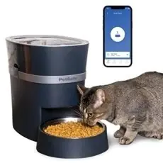 arf pets automatic pet feeder