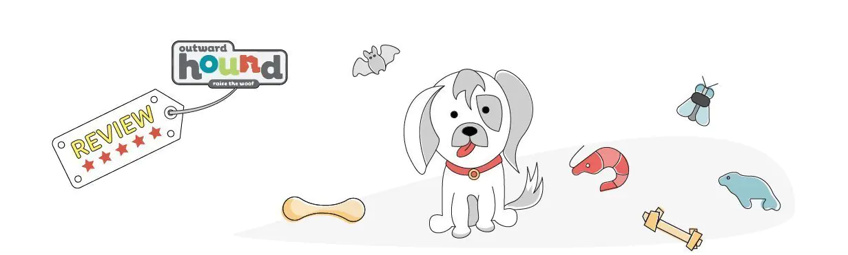Outward Hound Fire Hose Toy Review