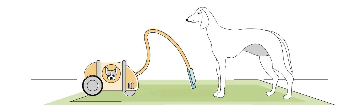 Best Carpet Cleaner for Pets