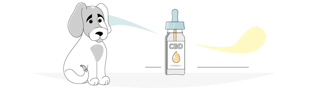 Best CBD for Dogs with Anxiety