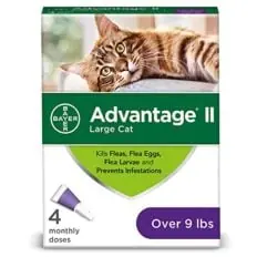 Advantage II for Cats Advantage II for Cats