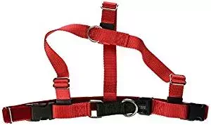 2 Hounds Design Freedom Harness 2 Hounds Design Freedom Harness