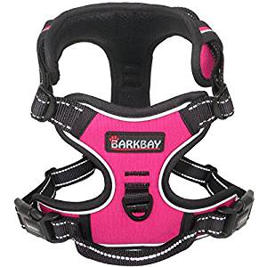 BARKBAY No-Pull Dog Harness BARKBAY No-Pull Dog Harness
