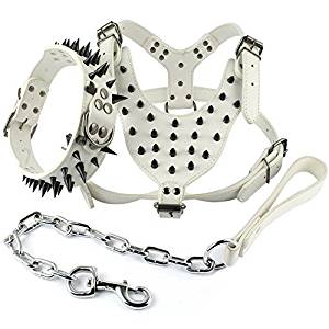 Berry Pet Spikes Studded Leather Harness Berry Pet Spikes Studded Leather Harness