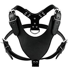 Didog Leather Spiked & Studded Dog Harness Didog Leather Spiked & Studded Dog Harness