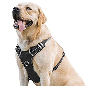 DogJog Dog Harness DogJog Dog Harness