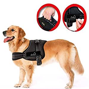Lifepul Vest Harness Lifepul Vest Harness