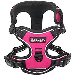 BARKBAY No-Pull Dog Harness BARKBAY No-Pull Dog Harness