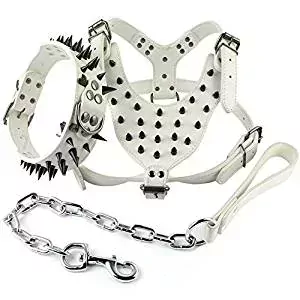Berry Pet Spikes Studded Leather Harness Berry Pet Spikes Studded Leather Harness