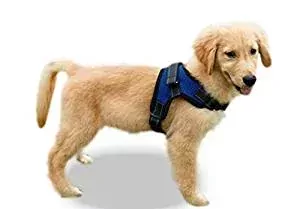Copatchy No-Pull Harness Copatchy No-Pull Harness