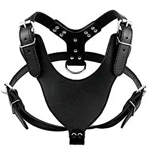 Didog Leather Spiked & Studded Dog Harness Didog Leather Spiked & Studded Dog Harness