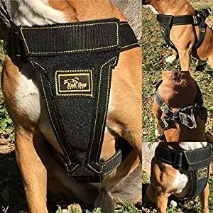 Dog Vest Harness Padded Adjustable Heavy Duty Attachment Dog Vest Harness Padded Adjustable Heavy Duty Attachment