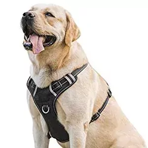 DogJog Dog Harness DogJog Dog Harness