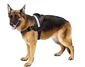 EXPAWLORER No-Pull Harness EXPAWLORER No-Pull Harness