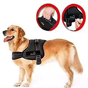 Lifepul Vest Harness Lifepul Vest Harness