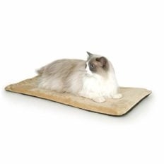 cisno pet heating pad