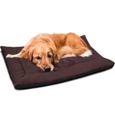 Paws & Pals Self-Warming Pet Heating Pad Paws & Pals Self-Warming Pet Heating Pad