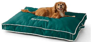 The Best Pet Bed Cover 2021 Chew Waterproof Tested