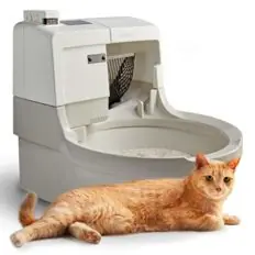 CatGenie Self Washing Self Flushing Cat Litter Box CatGenie Self Washing Self Flushing Cat Litter Box