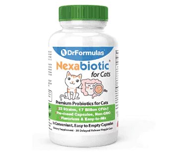 DrFormulas Nexabiotic Probiotics for Cats Powder DrFormulas Nexabiotic Probiotics for Cats Powder