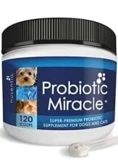 Nusentia Probiotics for Cats & Dogs Nusentia Probiotics for Cats & Dogs