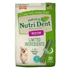Nylabone Nutri Dent Fresh Breath Chew Nylabone Nutri Dent Fresh Breath Chew