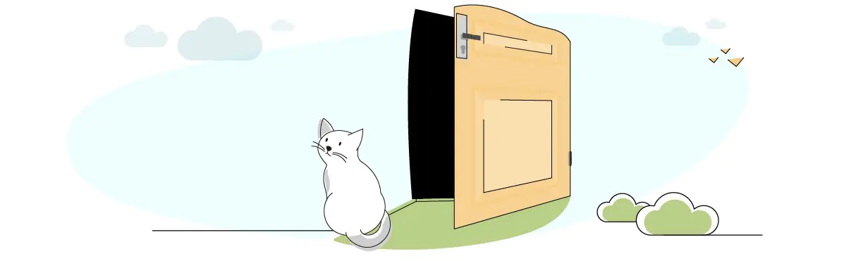 Best Cat Deterrent
