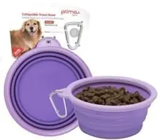 Best Overall: Prima Pets Bowl Best Overall: Prima Pets Bowl