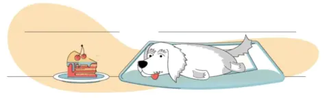 Best Chew Proof Dog Bed