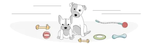 Best Indestructible Dog Toys for Chewers