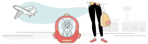 Best Dog Backpack Carrier