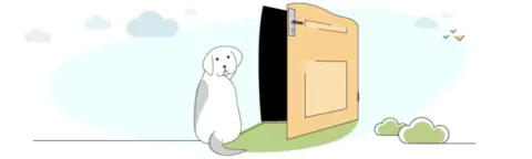 Best Dog Dental Chew