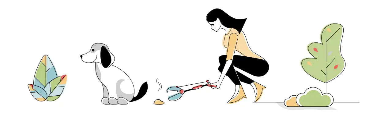 Best Pooper Scooper for Dogs