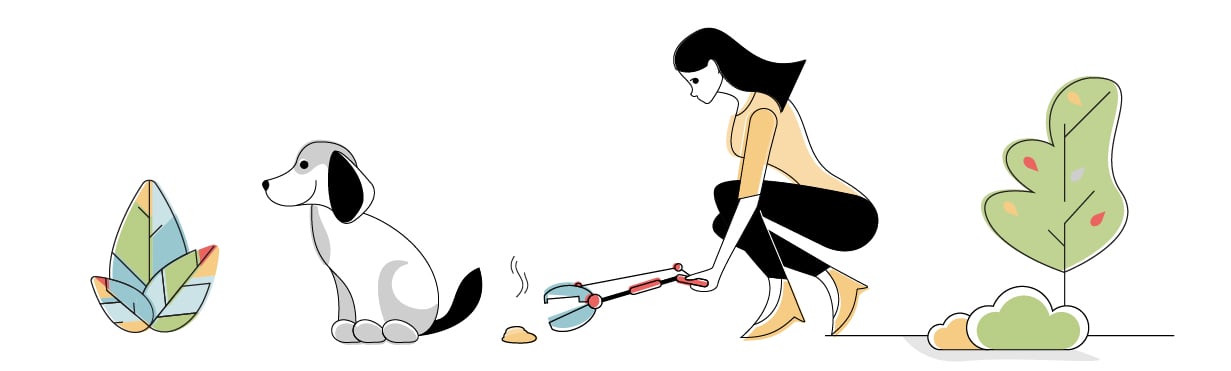 Best Pooper Scoopers for Dogs
