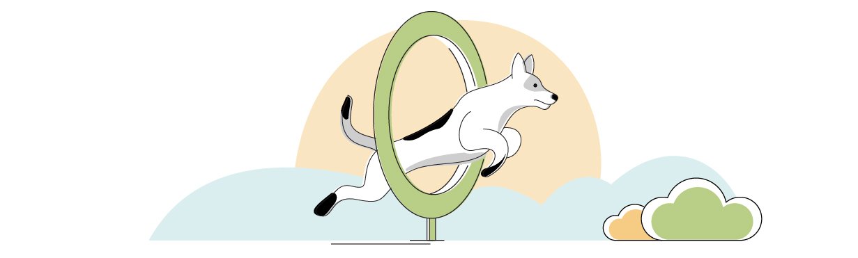 Best Glucosamine for Dogs