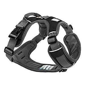 Embark Active Dog Harness Embark Active Dog Harness
