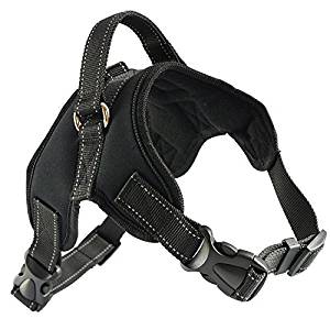 Roughtail Dog Harness Roughtail Dog Harness