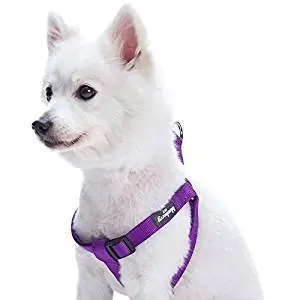 Blueberry Pet Classic Solid Color Adjustable Dog Harness Blueberry Pet Classic Solid Color Adjustable Dog Harness