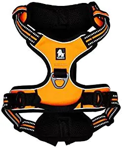 Chai’s Choice Front Range Dog Harness Chai’s Choice Front Range Dog Harness