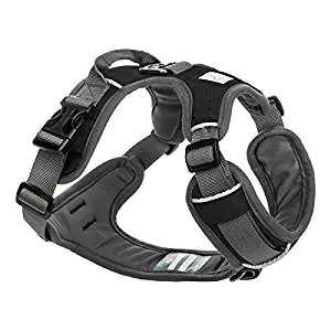 Embark Active Dog Harness Embark Active Dog Harness