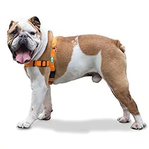 GoPets No Pull Harness GoPets No Pull Harness