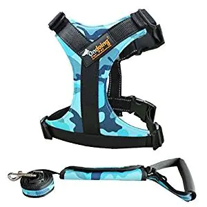 OnDoing No Pull Dog Harness OnDoing No Pull Dog Harness