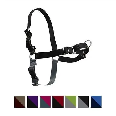 PetSafe Easy Walk Harness PetSafe Easy Walk Harness