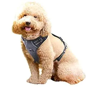 RABBITGOO No Pull Dog Harness RABBITGOO No Pull Dog Harness